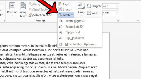 how to rotate a picture in word
